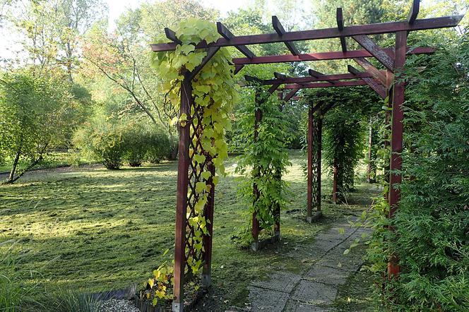 Ogród Botaniczny w Zabrzu