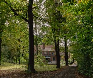 Kolonia amerykańska w Giszowcu - Katowice