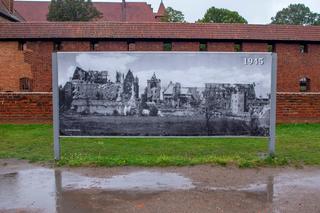 Muzeum Zamkowe w Malborku