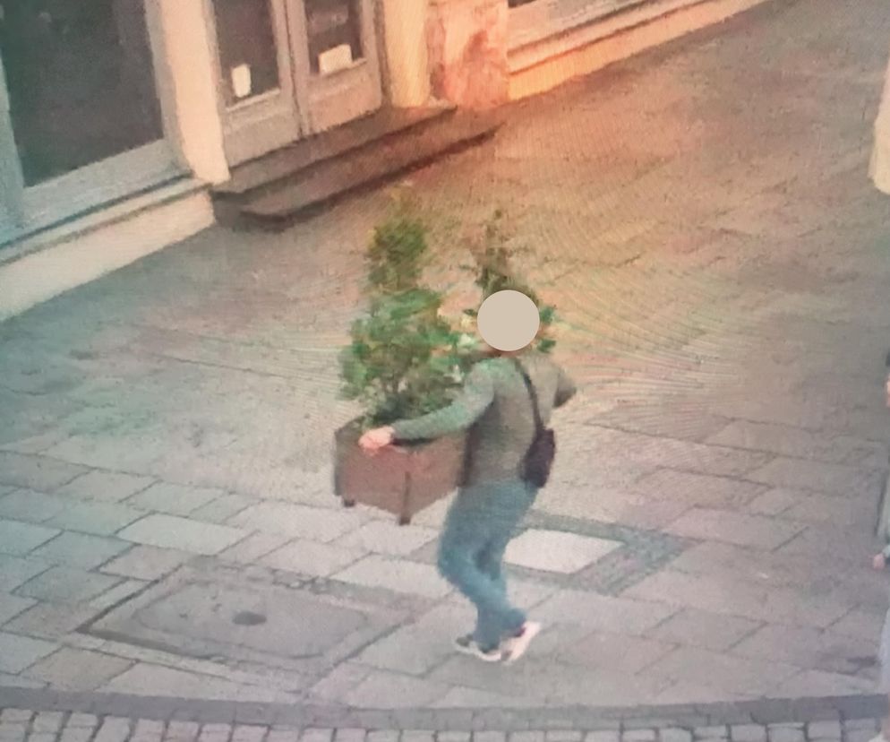 Miłośnik przyrody podwędził donicę z rynku w Krakowie. Chłop ma mocny kręgosłup