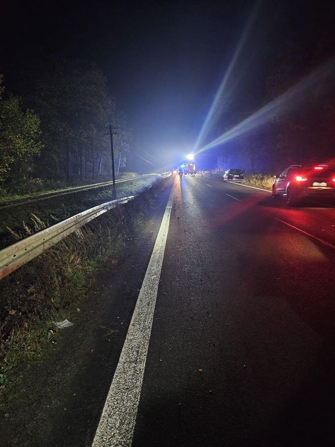 Jedna osoba w szpitalu po dachowaniu przez sarnę. Wypadek koło Garzyna