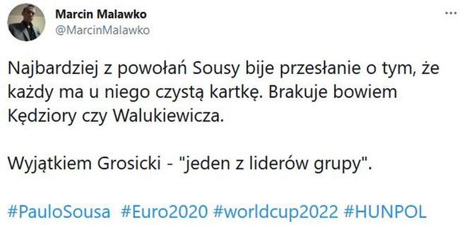 Reakcja internautów na powołania Sousy