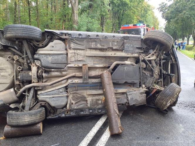 Granice: 20-letni kierowca wjechał bmw w drzewo