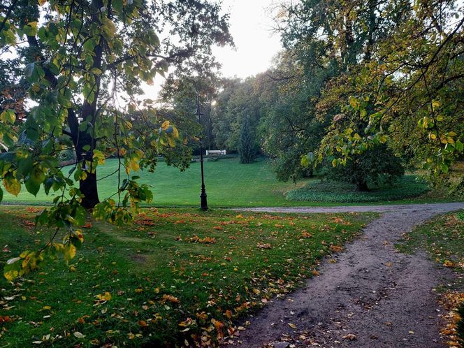 Sowa nieźle się pieni i dobrze pachnie. Nowe pamiątki z Ostromecka się podobają, ale ludzie chcą magnesu z Grubym