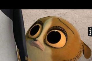 MEMY na rozpoczęcie roku szkolnego 2025/2026