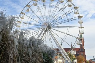 Te pytania nie sprawią problemu tylko prawdziwym białostoczanom. Sprawdź w Quizie, na ile pytań odpowiesz