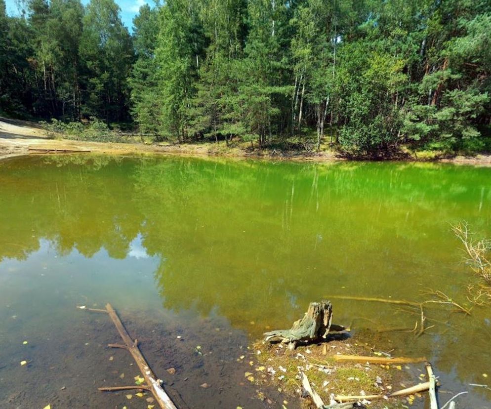 Zatopiony las na Śląsku skrywa Kolorowe Jeziorka