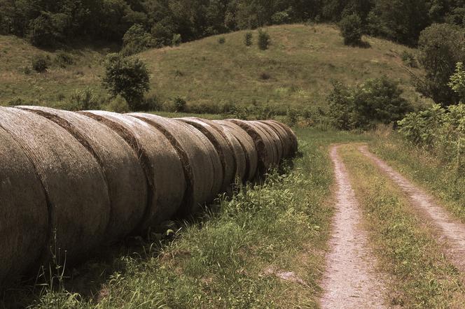 Wsparcie finansowe na drogi dojazdowe do gruntów rolnych - Na jaką sumę?