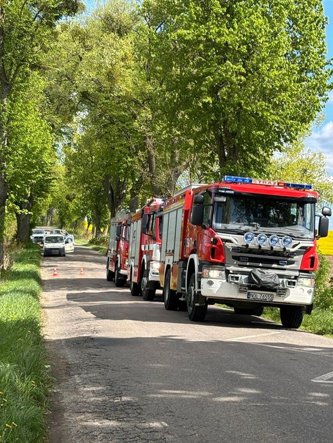 Śmiertelny wypadek pod Olsztynem. 39-latek zignorował znak "stop"? [ZDJĘCIA].