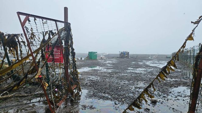 Tsunami uderzy w Rosję, USA i Japonię?! Potężne trzęsienie ziemi 