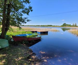 Było, zniknęło i... powróciło. Zobacz magiczne jezioro Track na obrzeżach Olsztyna [ZDJĘCIA]