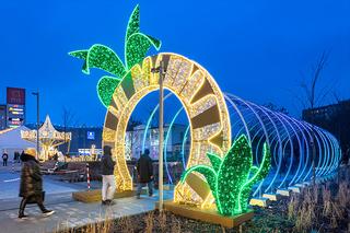 Iluminacja Wola Park