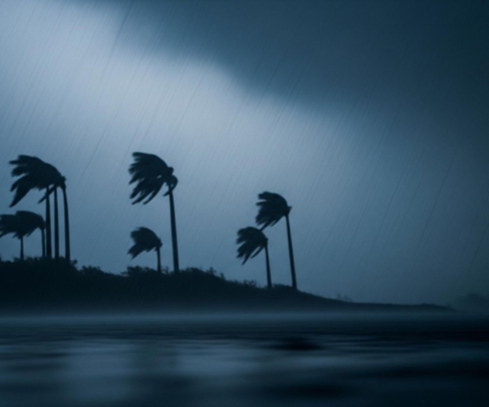 Wzdłuż horyzontu rozciąga się ciemna linia lądu pokryta drzewami palmowymi, których liście są silnie odchylone przez wiatr. Niebo jest ciemnogranatowe, wypełnione deszczem padającym ukośnie w dół, a w prawym górnym rogu widać jaśniejszy obszar. Na pierwszym planie znajduje się powierzchnia wody, częściowo rozmyta, odbijająca ciemne odcienie nieba. Cały obraz utrzymany jest w zimnej, monochromatycznej tonacji błękitu i granatu, sugerującej intensywną burzę.