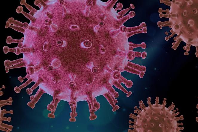 Ekspert ostrzega: To nie koniec pandemii! Właśnie powstaje groźniejsza odmiana koronawirusa? 