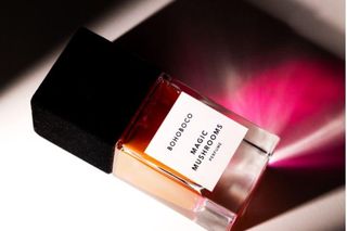 W polskich perfumach zakochał się cały świat! Kompozycje, które znaczą coś więcej niż tylko aromaty