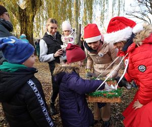 W Gdańsku rozbłysły pierwsze dzielnicowe choinki