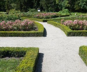 Ogród Botaniczny w Poznaniu 