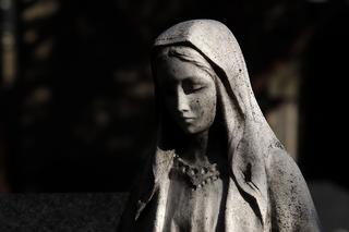 Warszawa: Sprofanowano figurę Matki Bożej. Akt wandalizmu przy domu zakonnym w Aninie