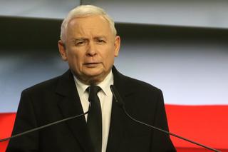 Kaczyński: ludzie zbierali po lasach kartofle dla dzików. Reaguje znany mecenas