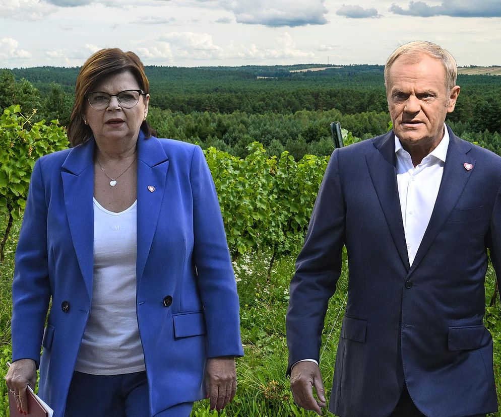 Tusk, Leszczyna, winiarnia