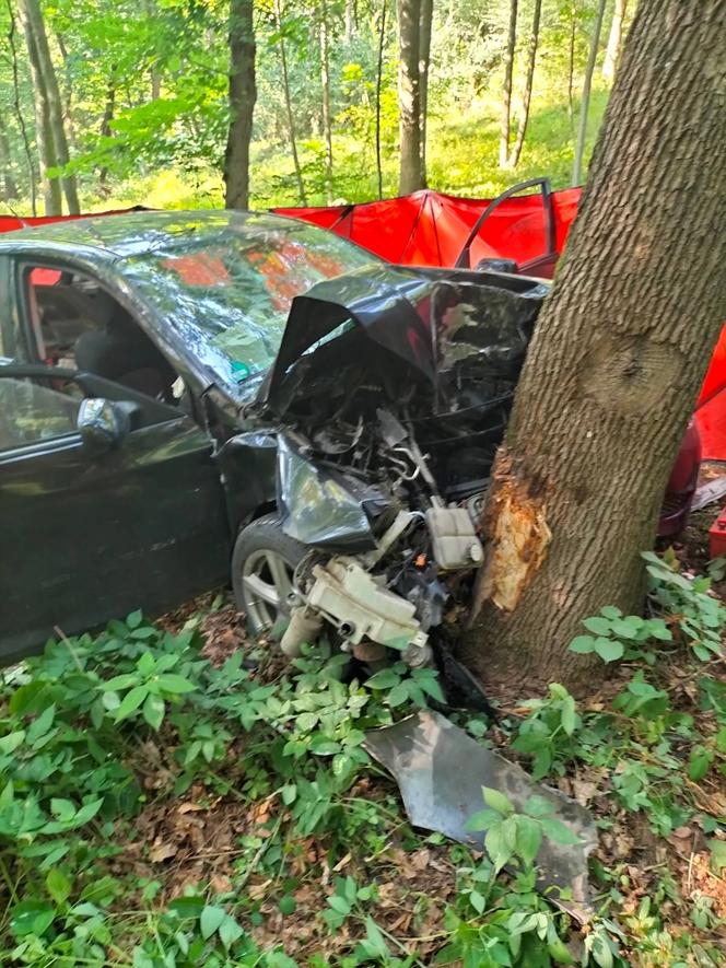 Osobówka wbiła się w drzewo w Białochowie! Nie żyje kierowca [ZDJĘCIA]