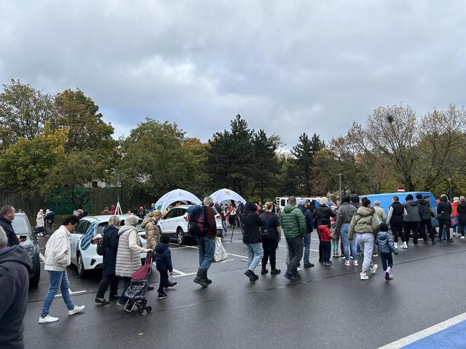 Urząd Miasta Zielona Góra rozdał dynie! Mimo złej pogody były tłumy