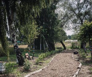 To najpiękniejsza wieś w woj. warmińsko-mazurskim. Zwyciężyła w ważnym konkursie