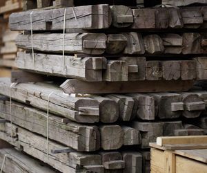 Pawilon projektu Toma Svilansa x THISS Studio