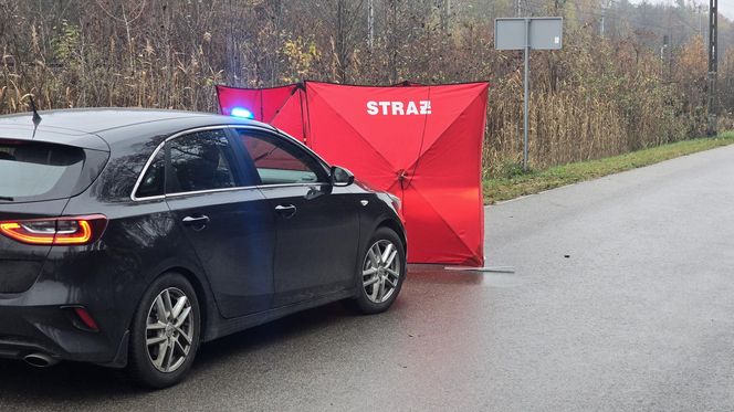 Zwłoki mężczyzny leżały w przydrożnym rowie. Makabryczne odkrycie pod Warszawą. „Pomiędzy torami, a drogą”