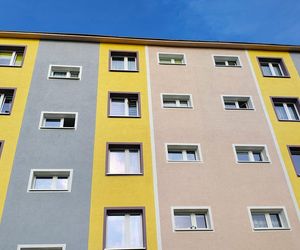 Kot zaklinował się w uchylonym oknie