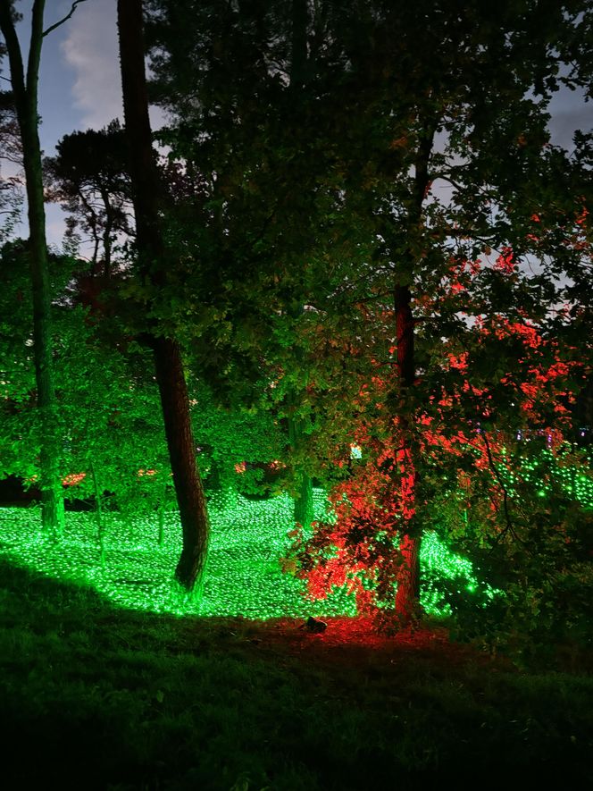 Otwarcie Lumina Parku w Poznaniu. Tegoroczne świecące miasteczko robi fenomenalne wrażenie!