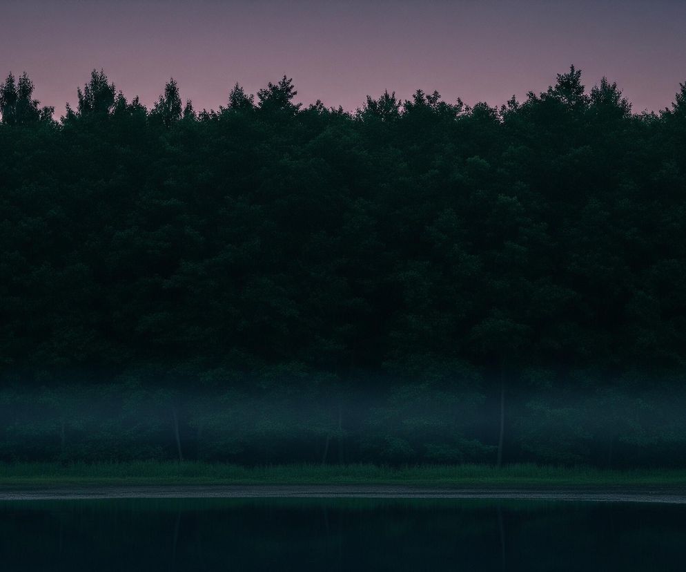 Horyzontalna linia gęstych, ciemnozielonych drzew dominuje w górnej połowie obrazu, ich wierzchołki wyraźnie odcinają się od bladego, różowo-fioletowego nieba. Poniżej lasu, na wysokości pni drzew, unosi się cienka warstwa błękitno-zielonej mgły. Na pierwszym planie widoczne jest lustro ciemnej wody, odzwierciedlającej barwy nieba i lasu, z wyraźnymi falowaniami na powierzchni i pasem zielonej trawy rosnącej na brzegu.