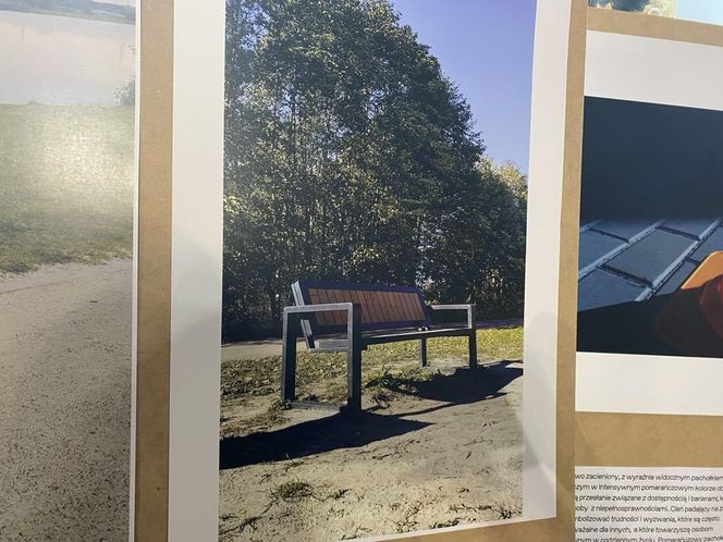 Laureaci konkursu fotograficznego „Przyjaźń bez barier” nagrodzeni