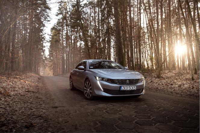 TEST, OPINIA - Nowy Peugeot 508: elegant aspirujący do klasy premium