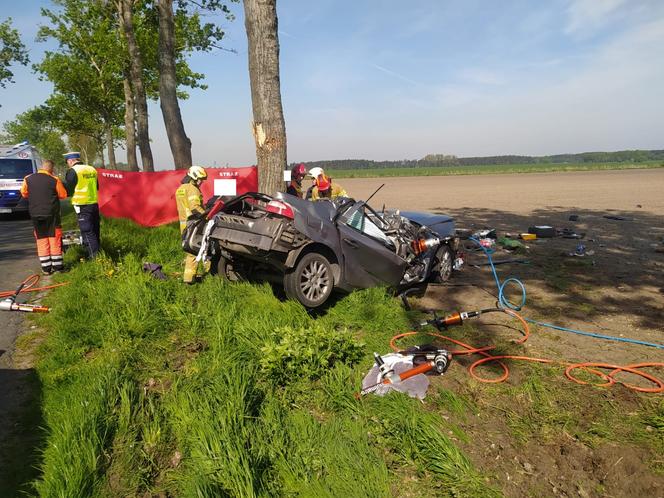 Kierowca uderzył w drzewo. Zginął na miejscu
