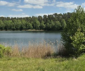 To jezioro w Olsztynie ma niezwykle czystą wodę. Jest kilka dzikich plaż, które świecą pustkami