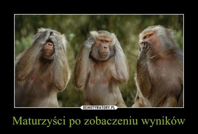 Matura - memy
