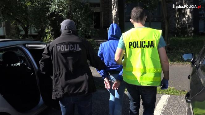 Śląskie: Kolejne zatrzymania w sprawie wielomilionowej karuzeli podatkowej