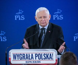 Koalicja PiS z Konfederacją? Kaczyński stawia sprawę jasno i uderza w liderów