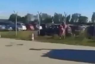 Seks na parkingu lotniska w Pyrzowicach? Para robiła to na oczach kierowcy autobusu 