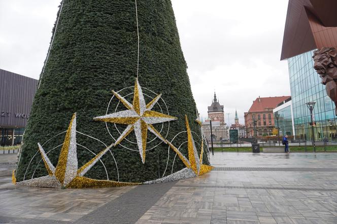 Pierwsza choinka w Trójmieście