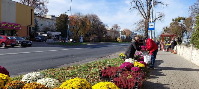 Przygotowania do Wszystkich Świętych Zamość