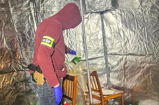 Produkowali narkotyki i sprzedawali je w Darknecie