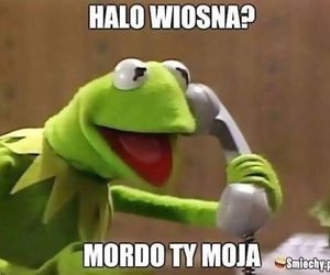 Wiosna 2025: Memy opanowały internet! Zobacz najzabawniejsze memy na powitanie wiosny [21.03.2025]