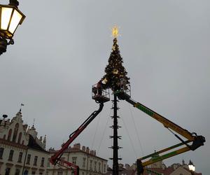 Montaż świątecznej choinki na Rynku w Rzeszowie