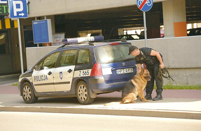 Makabra na Młocinach