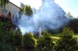 Odkomarzanie ogrodu. Samodzielnie czy z firmą? Sprawdziliśmy koszty i efekty