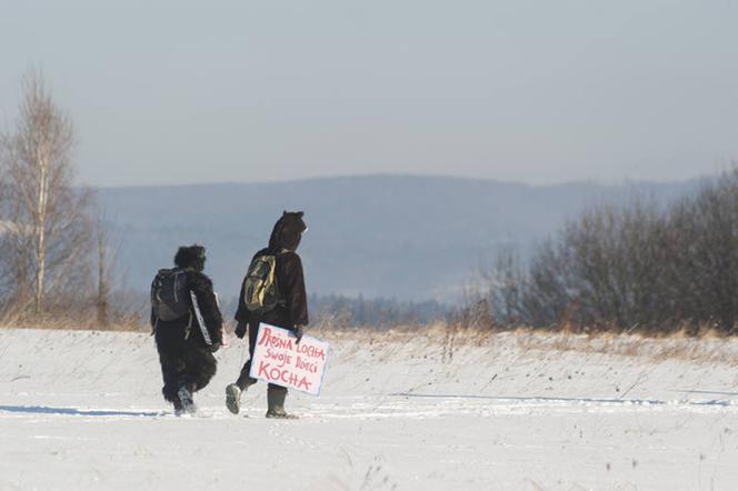 Goryl z kurczakiem przegnali myśliwych