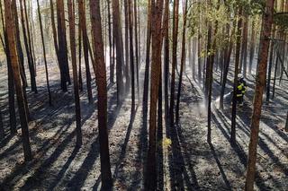 82-latek wypalał trawy, skończyło się pożarem lasu. Spłonęło 1,5 hektara!