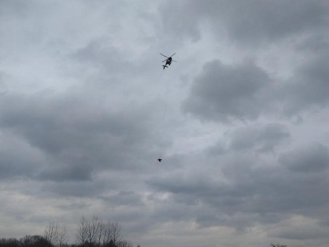 Mężczyzna przygnieciony przez drzewo